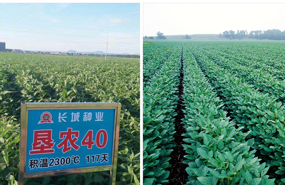 1553750142208206.jpg 02.30.jpg