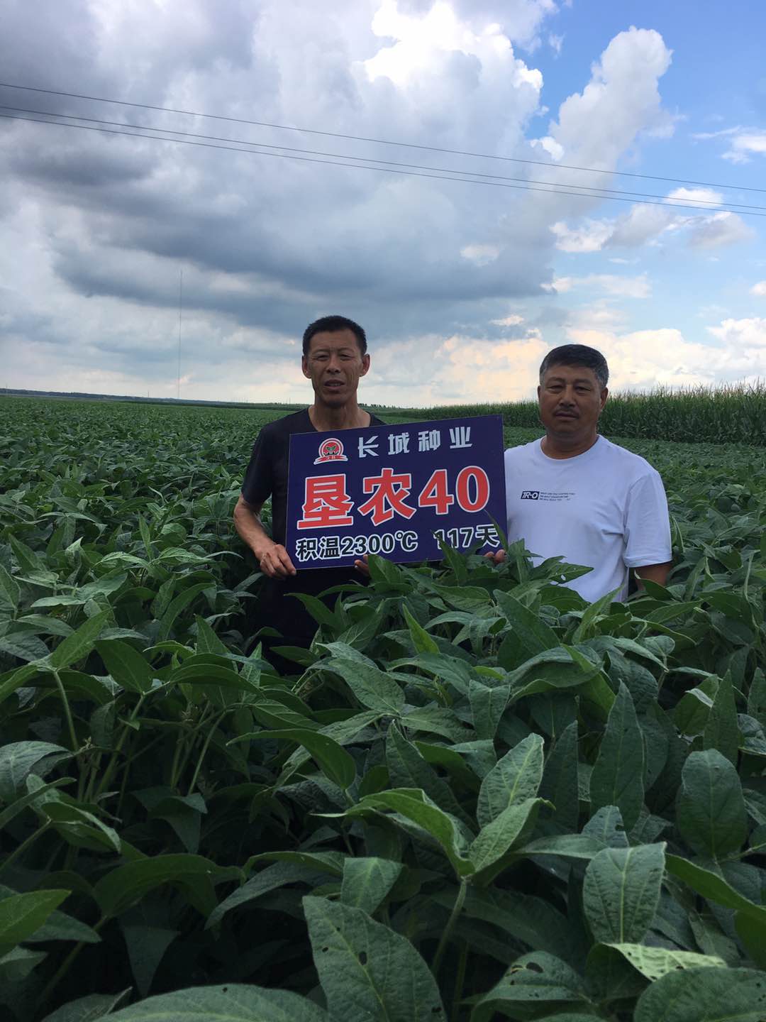 1600396873567727.jpg mmexport1600236675049.jpg